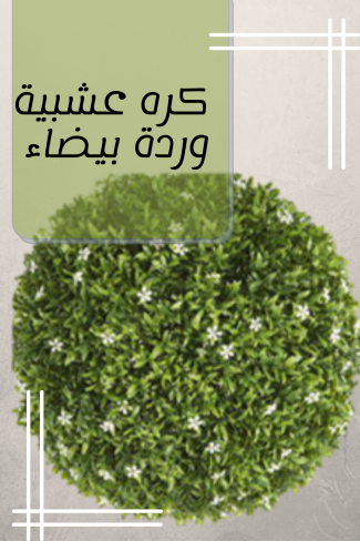 كرةعشبية وردة بيضاء